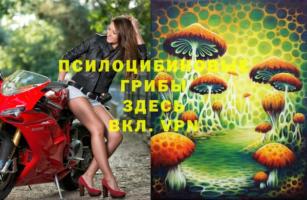ПСИЛОЦИБИНОВЫЕ ГРИБЫ Алексин