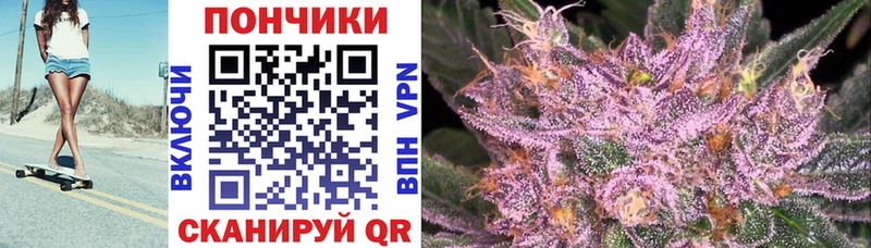 где купить наркоту  Пущино  блэк спрут   Бошки марихуана Ganja 